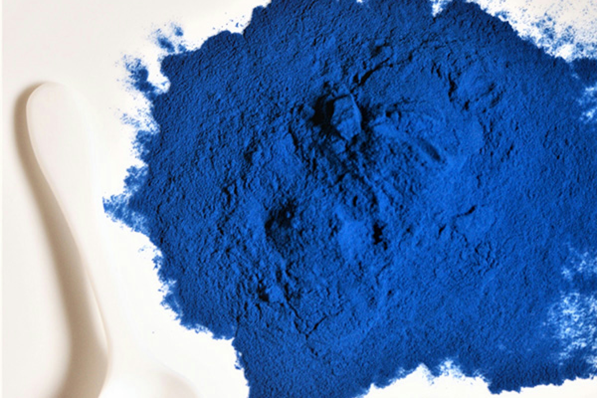 Ficocianina, il pigmento blu delle alghe: studi rivelano il suo impatto contro il tumore